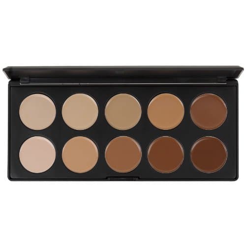 Blush Professional 10 Colour Concealer Palette
