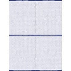 Blue Prescription Sceurity Laser RX Sheets