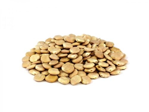 Sahadi Lupine Beans, 55 Pound