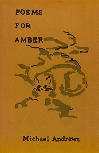 Poems for Amber Kindle Edition