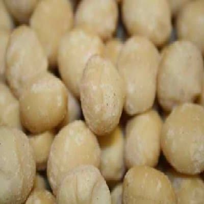 Nuts BG16619 Nuts Raw Macadamia Malawi - 1x5LB