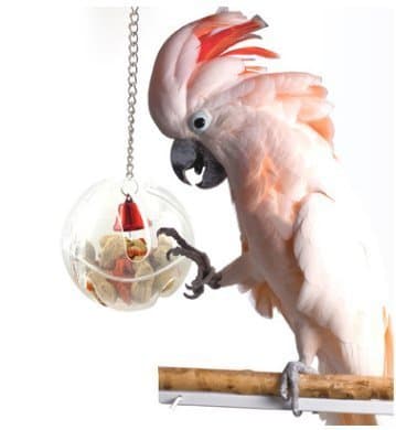 Difunisea Parrot Foraging Systems Foraging Wheel -Hapaus for Parrot Macaw African Greys Budgies Parakeet Cockatiel Conure Cage Toy