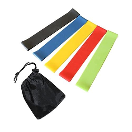 Exercise Resistance Loop Bands Set Resistance Loop Exercise Mini Bands with Carry Bag Instructional Booklet Set of 5