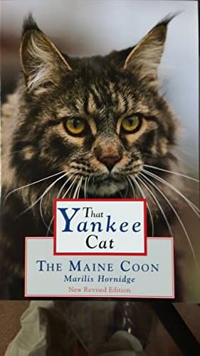 That Yankee Cat: The Maine Coon