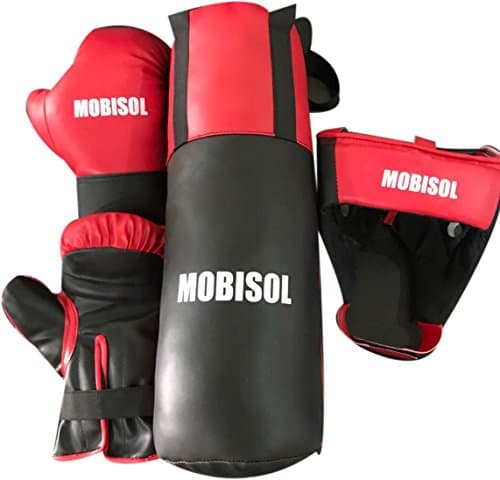 Mobissol Boxing kit Set