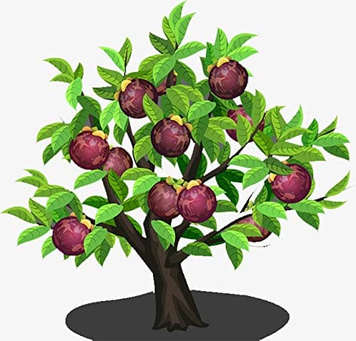 COMI Digital Camera with WiFi 24.0 MP Vlogging Camera 2.7K Ultra HD 3.0 Inch Camera with Flip Screen Retractable Flashlight, G03