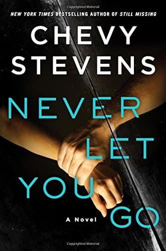 Never Let You Go: A Novel