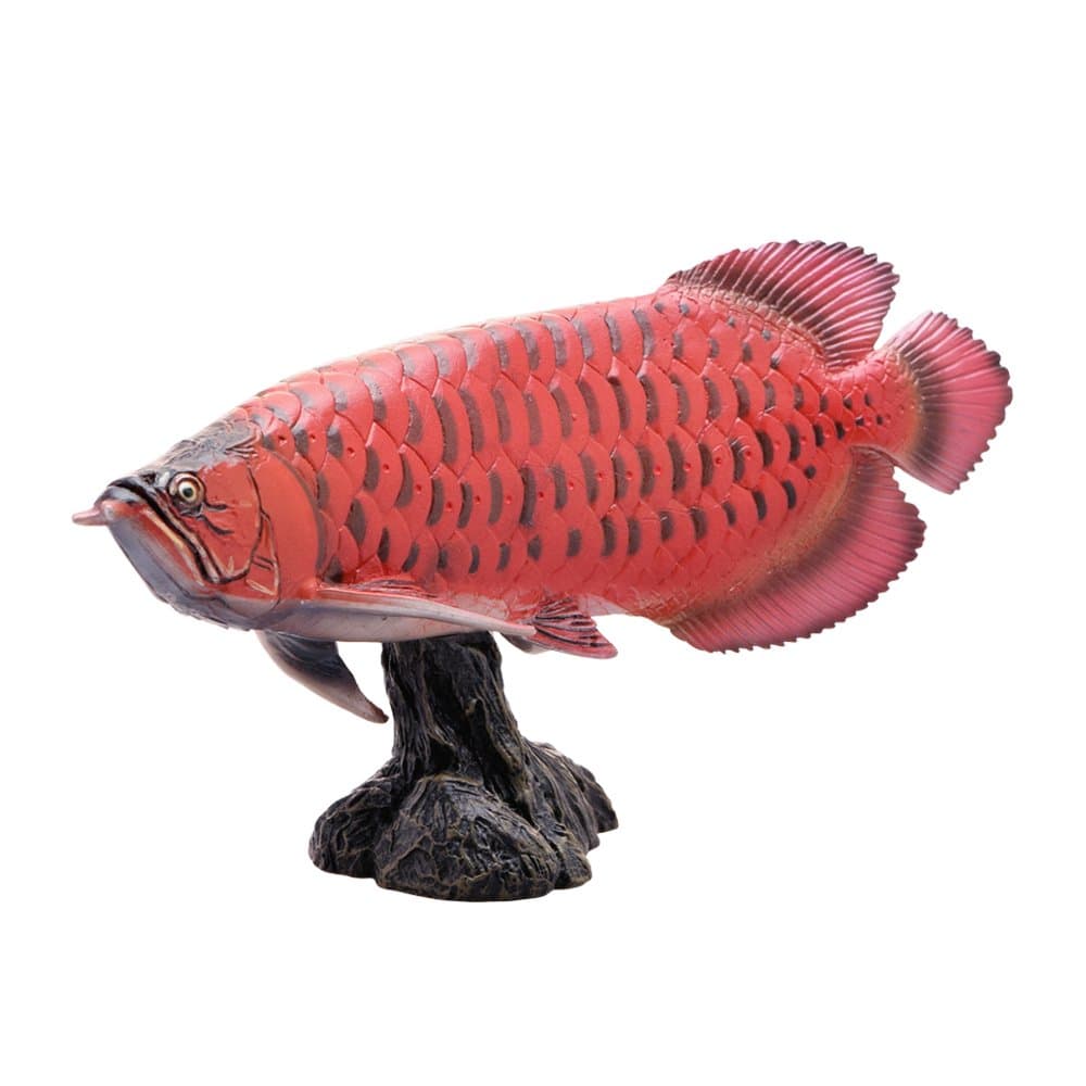 Favorite Asian Arowana / Red Dragon Software Model (FF-005)