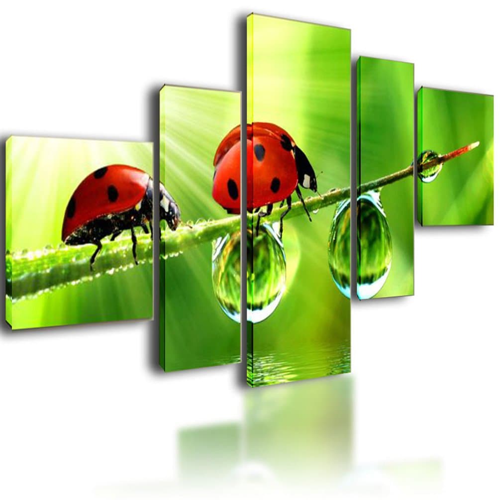 XL Parted Canvas Picture Wall Art Split Multi Panel Framed Modular Living Room - 5 panel Ladybirds On A Leaf 130cm x 70cm 2081