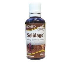 SOLIDAGO - 1.69 FL OZ