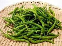 SEEDS CHILLI FUSHIMI TOGARASHI