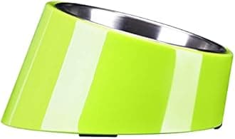 SUPER DESIGN Detachable Stainless Steel Food Bowl with 15 Degree Slanted Anti-Skid Melamine Stand, for Dogs and Cats, M, Green