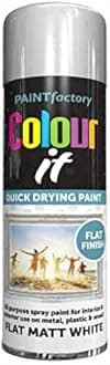 SuperGift.com Flat White Matt All Purpose Aerosol Spray Paint 250ml Quick Drying Spray, Fast Dry and Excellent Coverage for Metal, Wood, Plastic and More by Diva Gift