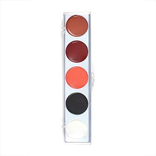Professional ProFace Make-up Palette 5 Color