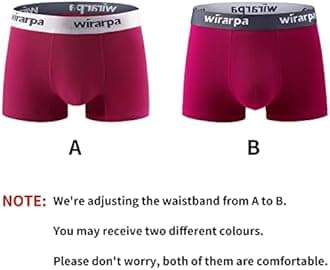 wirarpa Mens Trunks Underwear Cotton Boxer Briefs Short Leg Comfortable Underpants 4 Pack