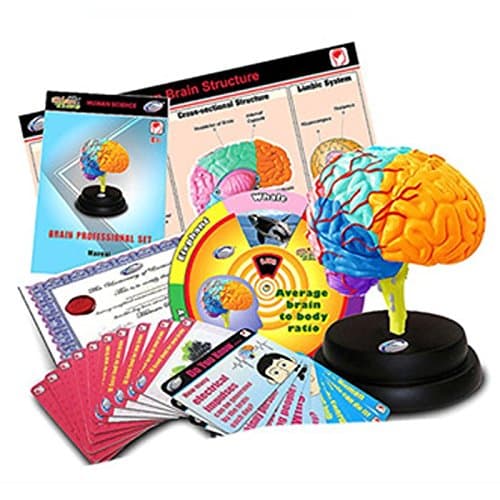 Eastcolight 29961 Brain Professional Set