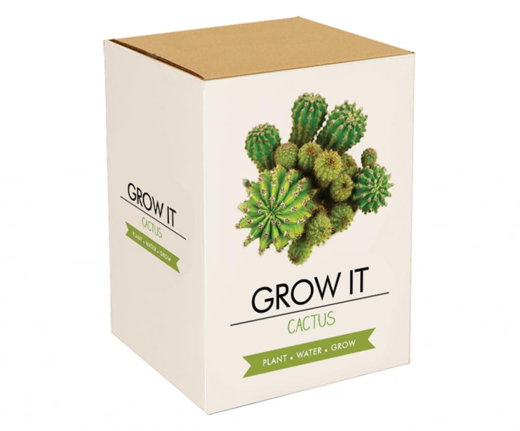 Grow Your Own Cactus