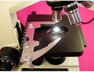 AmScope D200A Dual-View Compound Binocular Microscope, WF10x and WF16x Objectives, 40X-1600X Magnification, Brightfield, 1.25 NA Abbe Condenser, Mechanical Stage, Anti-Mold