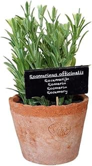 Artificial Herb Plant, Rosemary, Large