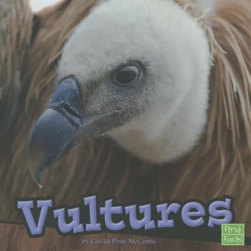 Vultures (Birds)