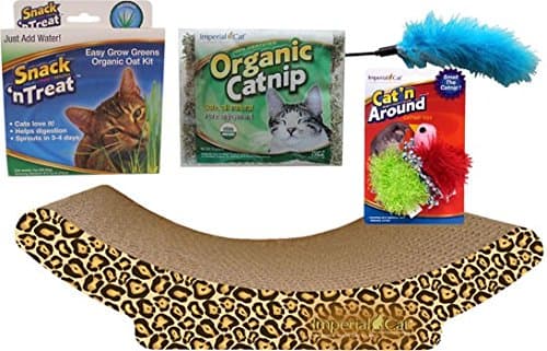 Imperial Cat Kitten Kit Gift Set