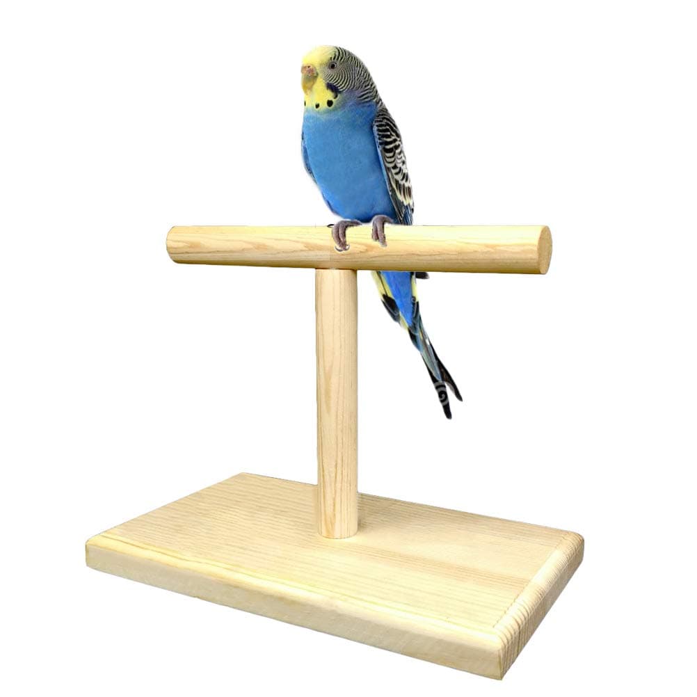 Bird Training Stand, Portable Tabletop Bird Perch Spin Training Perch for Parakeets Conures Lovebirds or Cockatiels