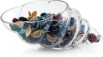 Glass Shell Vase, 11-Inch Seashell Potpourri Holder, Large Decorative Conch Bowl for Shell Collection Display, Sea Glass, Air Plant