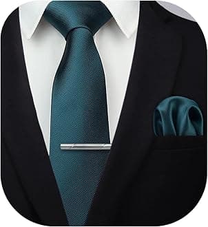 HISDERN Mens Ties Solid Color Wedding Ties and Pocket Square Neckties Clip Sets Business Formal Satin Ties for Men