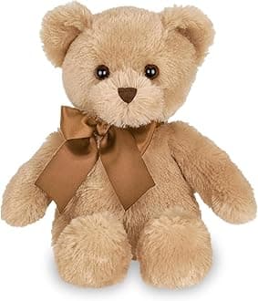 Lil’ Honey Plush Teddy Bear Stuffed Animal, 12 Inch