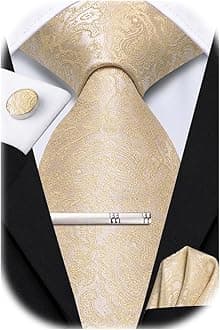 Hi-TieSilk Ties for Men Pink Blue Black Mens Ties Set 4 PCS Necktie Pocket Square Cufflinks Clip Pin for Wedding