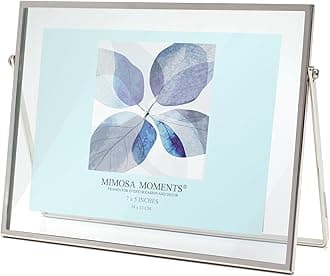 MIMOSA MOMENTS Silver Metal Floating Picture Frame (Silver, 5x7 horizontal)