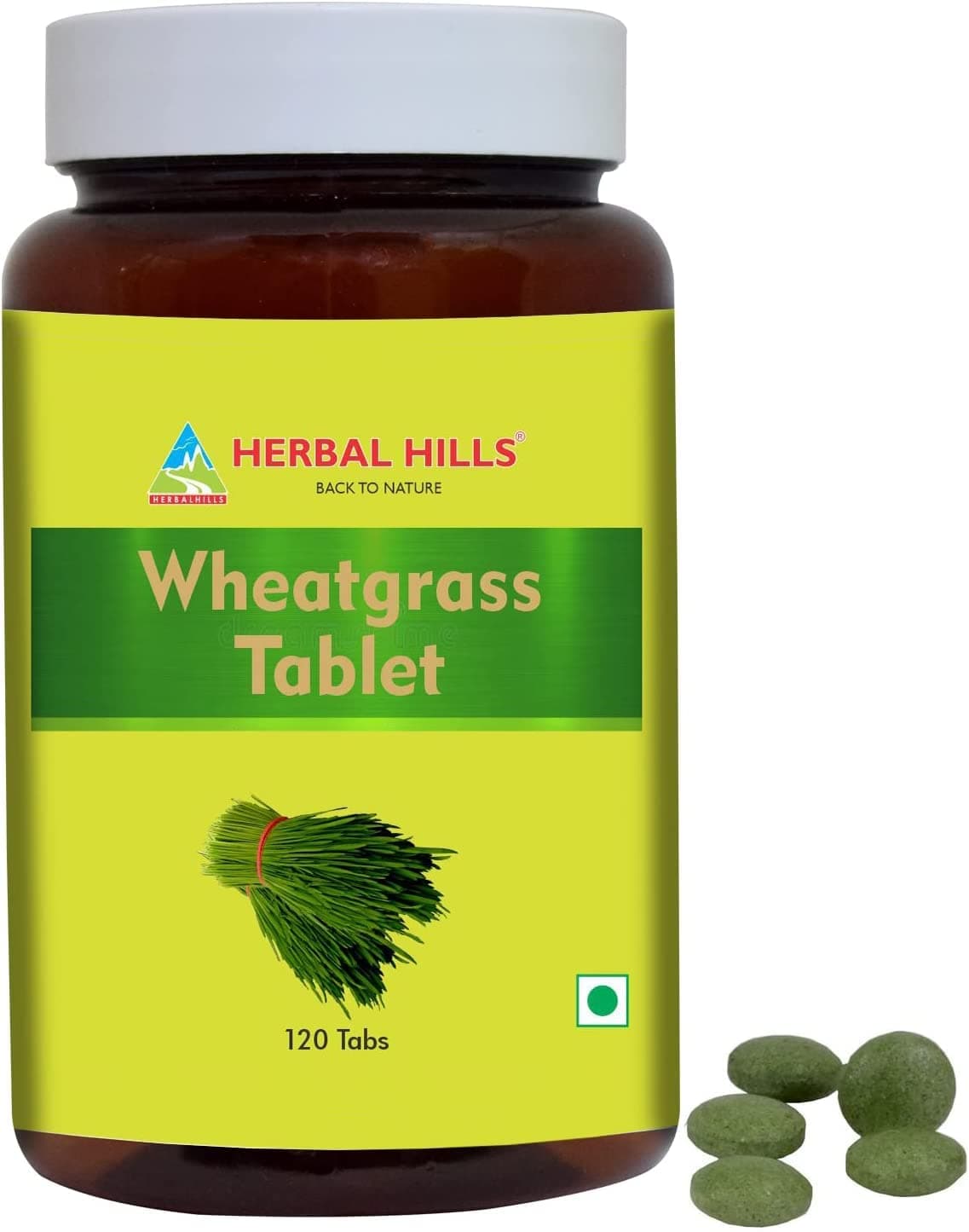 Wheat Grass Tablets | 120 Count | Made From Whole-Leaf WheatGrass Powder
