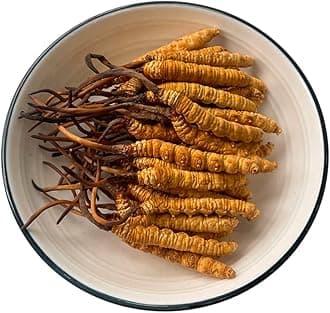 10 Gram 100% Wild Himalayan Cordyceps Sinensis Chinese Caterpillar Fungus Cordyceps Sinensis Wild Cordyceps,Dong Chong Xia Cao,Memory Support Immune Support,Natural Organic Herbal Supplements.