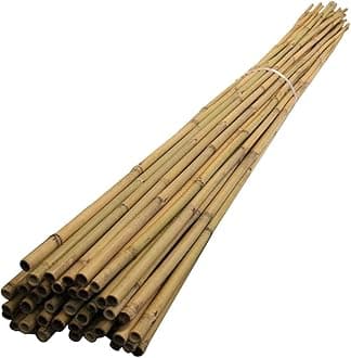 MUSAN Large 2FT 3FT 4FT 5FT 6FT Natural Garden Bamboo Canes - Heavy Duty Strong Plant Support Poles Thick Sticks - Indoor & Outdoor Plants Stakes Wooden Screening Wood Trellis (20, 2FT (10-18mm))