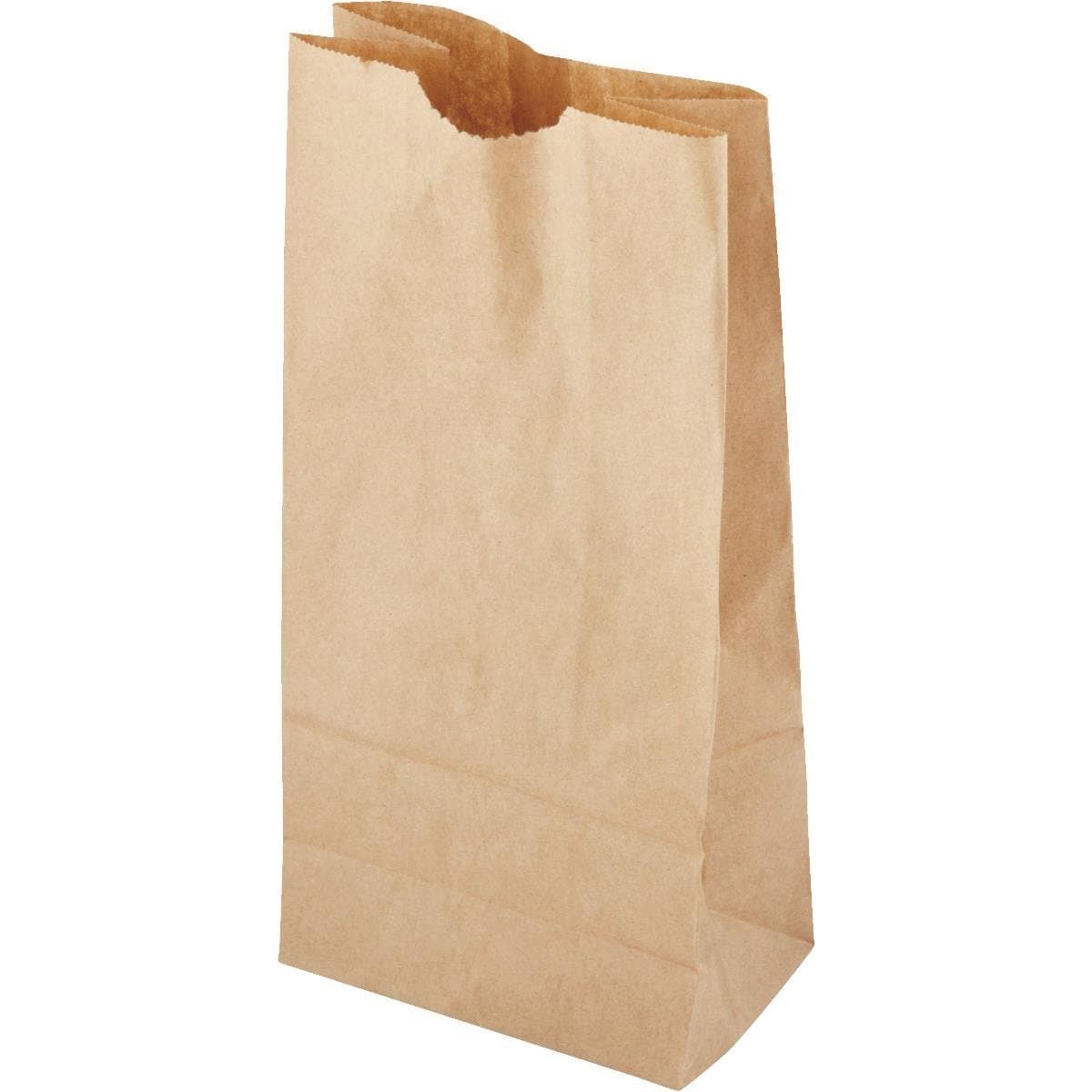 40 count Brown Paper Lunch Bag Recyclable Biodegradable (2 pack)