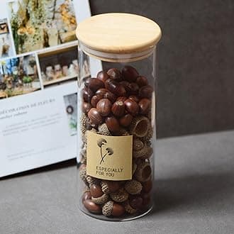 CALANDIS® 100Pcs Natural Acorns Real Acorns Caps Home DIY Christmas Natural Acorn Caps | Natural Dried Acorns | 100 Pieces Natural Acorn Caps100 Pieces Natural Acorn