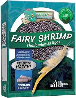 Fairy Shrimp Thailandensis Eggs Live Fish Food for Hatching and Culture Suitable for Feed Betta Fish
