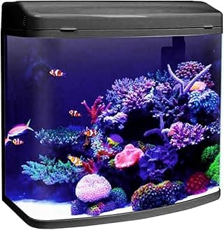 Jainsons Pet Products Minjiang Fish Aquarium Tank (HR3-380, Capacity-24L, Black)