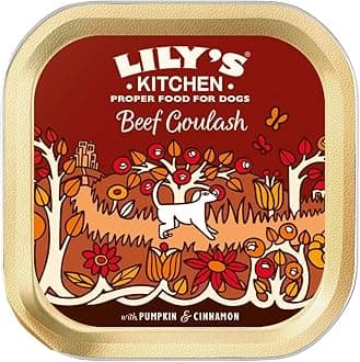 Lily's Kitchen Dog Beef Goulash Dog Wet Food - 150G