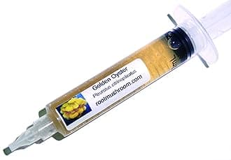 30 Mushroom Liquid Cultures /Golden Oyster(Pleurotus citrinopileatus)