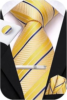 Hi-Tie Classic Mens Silk Ties Set 4 PCS Necktie Pocket Square Cufflinks Clip Pin Solid Strip Paisley Tie