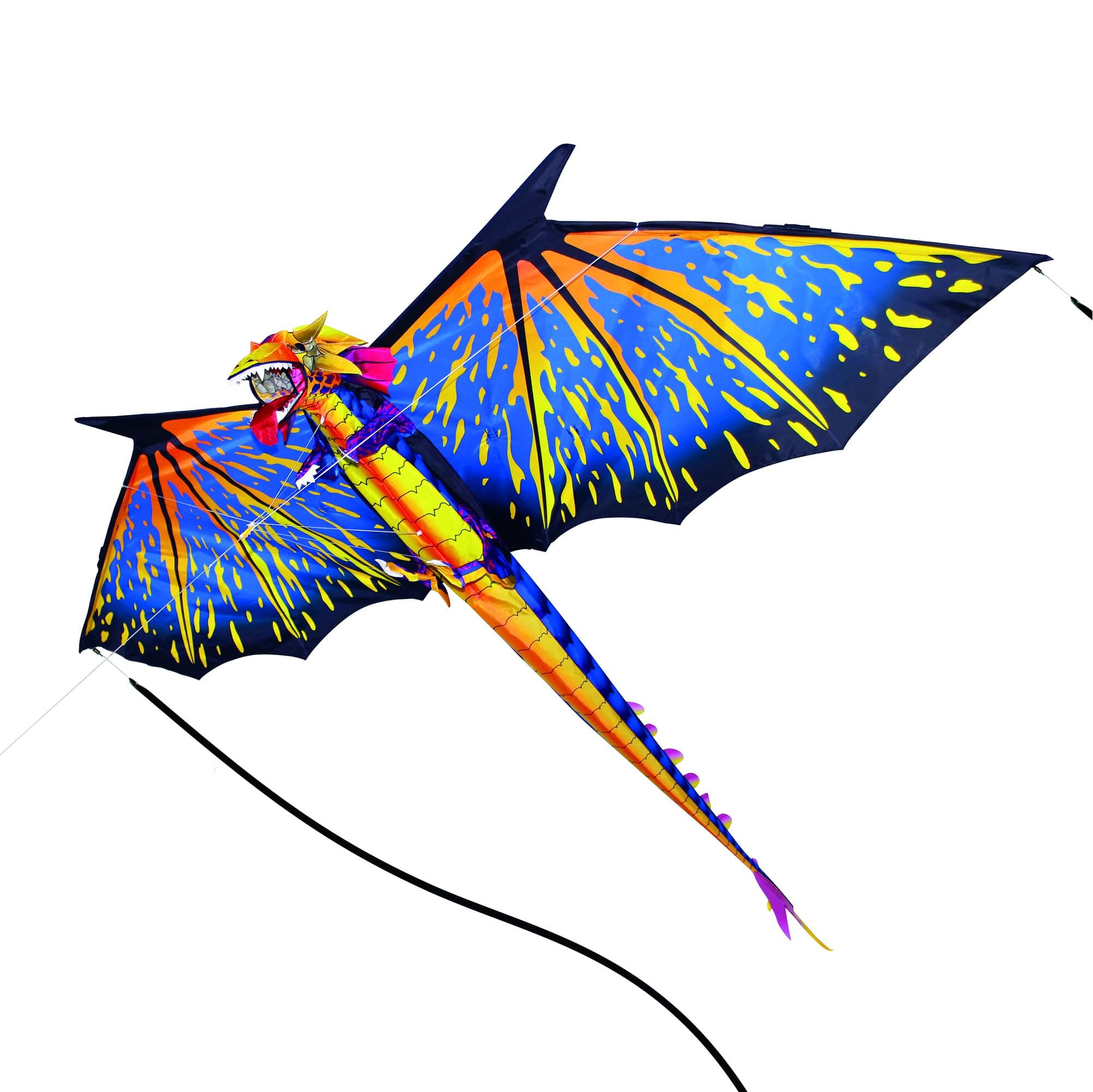 Large, Easy to Fly Kites for The Beach, Backyard, Park!