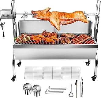 Stainless Steel Rotisserie Grill with Back Cover Guard, 25W Motor Small Pig Lamb Rotisserie Roaster, 48.7 Inch BBQ Charcoal Rotisserie Grill for Camping Outdoor Kitchen