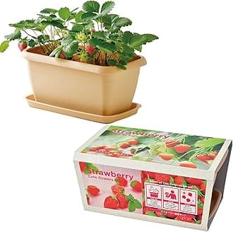 Seishin Pottery GD-1044 Autumn/Winter Home Garden Cultivation Kit, Enjoy Planter, Strawberry, Mini, Easy, Loose Growing, Vegetable Cultivation Set (Free Research/Food Education), Mother's Day