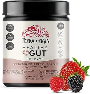 Terra Origin, Healthy Gut, Berry, 8.57 oz (243 g)