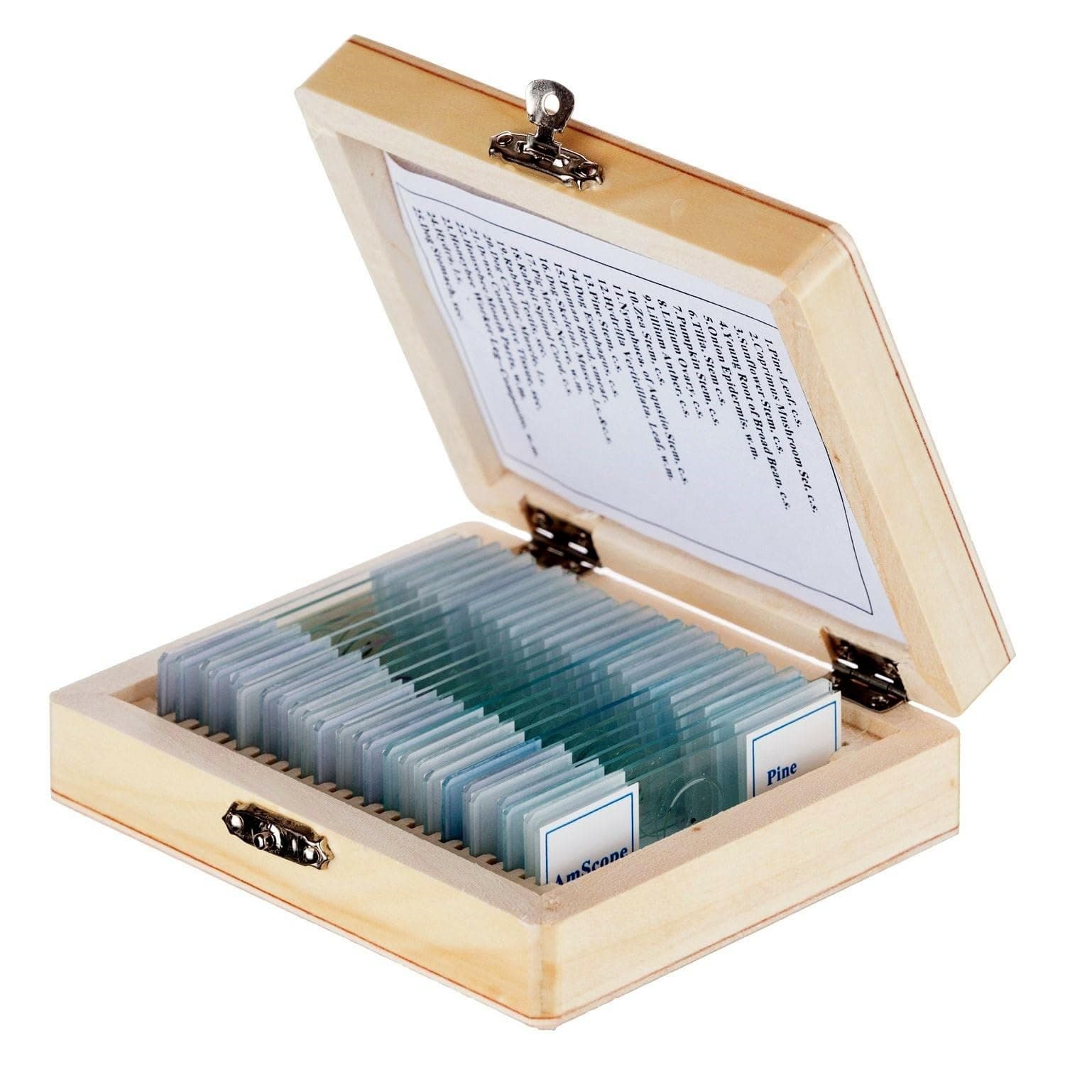PS25 Prepared Microscope Slide Set for Basic Biological Science Education, 25 Slides, Includes Fitted Wooden Case Brown