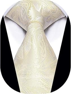 YourTiesYourTies 3.15'' Men's Necktie Paisley Floral Silk Ties for Men Formal Business Party Tie