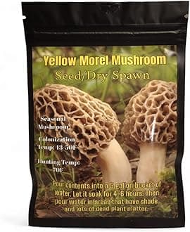 Yellow Morel Mushroom Seed/Dry Spawn