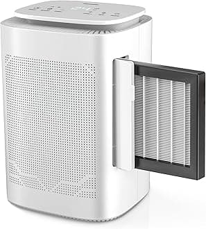 Dehumidifier and Air Purifier Combo,HEPA H13 Filter and Negative Air Ion Function,54oz(1600ML) Water Tank with Drain Hose,24hrs Auto-Off Timer,Idea for Bedroom,Bathroom,Closet,RV
