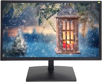 SVD 19.5” Security Monitor, 5MP/2560x1920 Super HD BNC Resolution, 3D Comb Filter, HDMI & BNC Inputs, Works with 5MP Security Cameras for DVR/NVR/PC